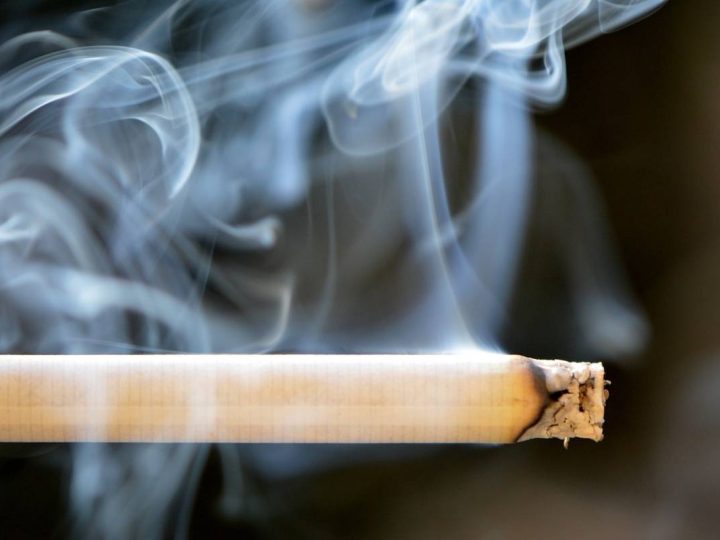 Cigarettes and the Environment – All You Need to Know