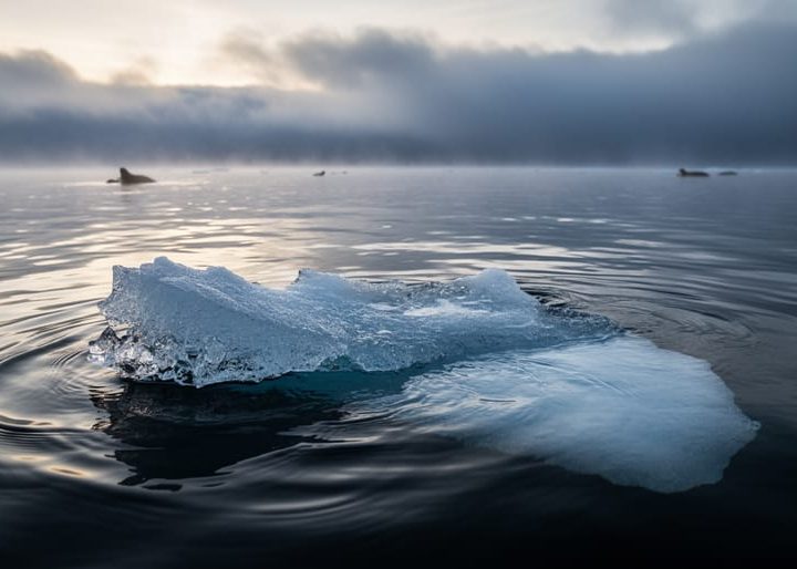 How Global Warming Affects the Environment (And What’s Happening in 2026)