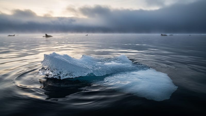 How Global Warming Affects the Environment (And What’s Happening in 2026)